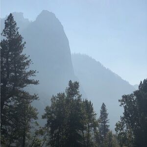 Meet your Posher, Joy